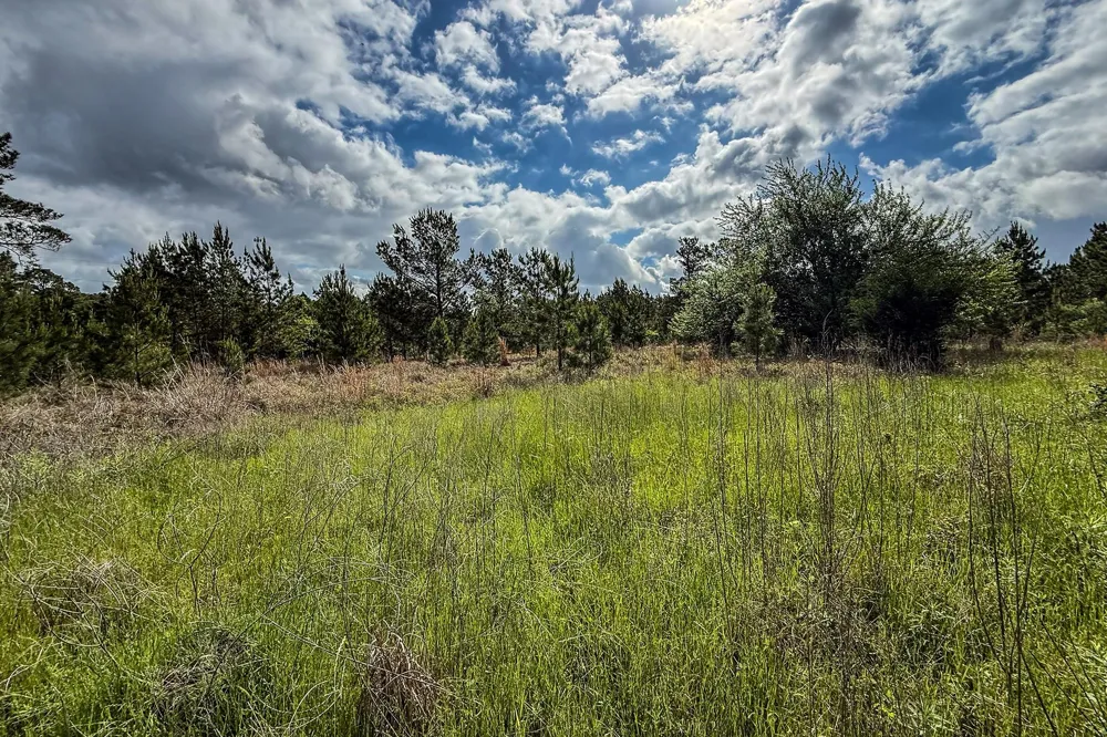 20 State Highway 19 Huntsville, TX 77320