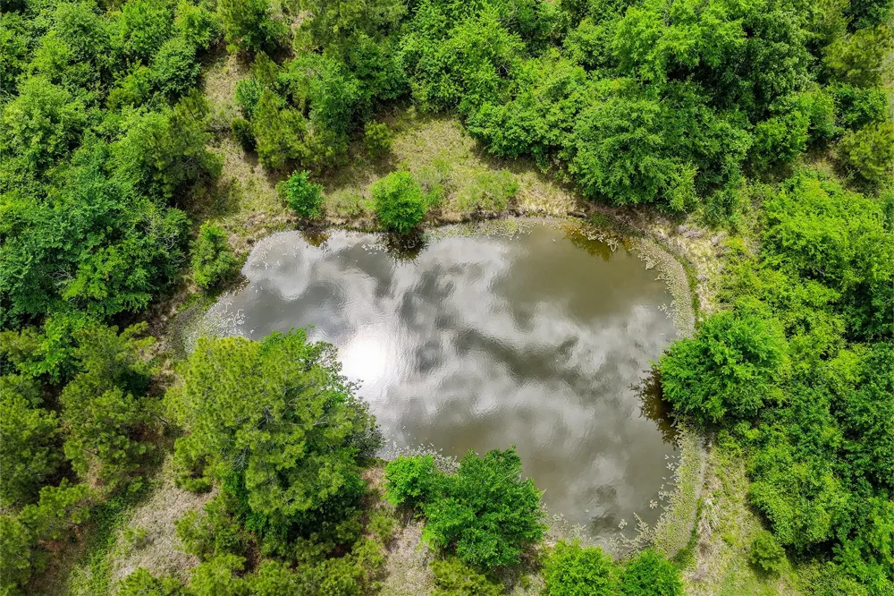 20 State Highway 19 Huntsville, TX 77320