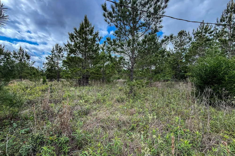 20 State Highway 19 Huntsville, TX 77320