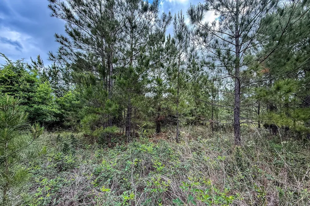 20 State Highway 19 Huntsville, TX 77320