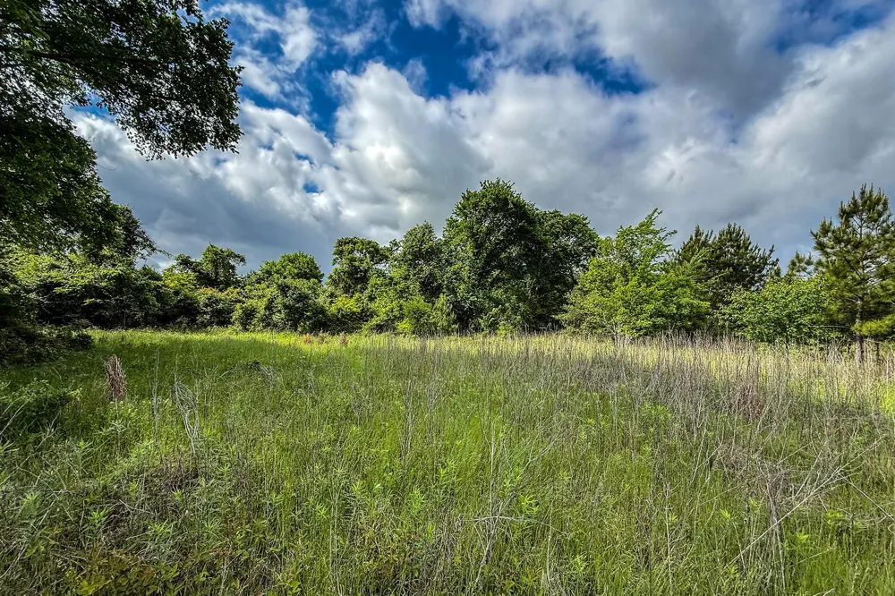 20 State Highway 19 Huntsville, TX 77320