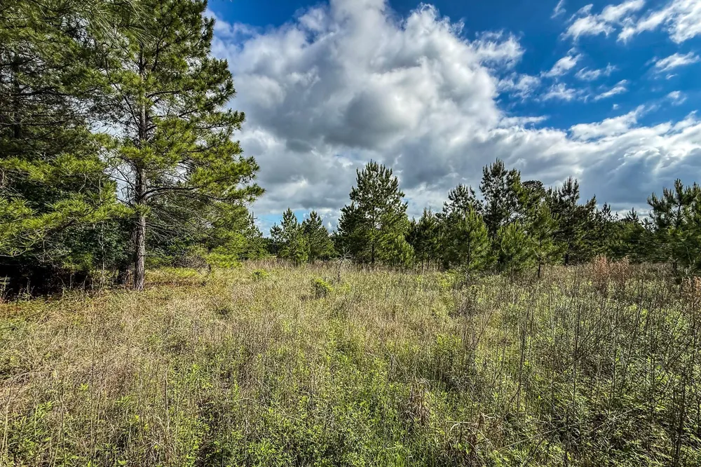 20 State Highway 19 Huntsville, TX 77320
