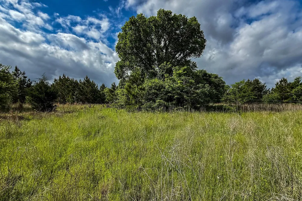 20 State Highway 19 Huntsville, TX 77320
