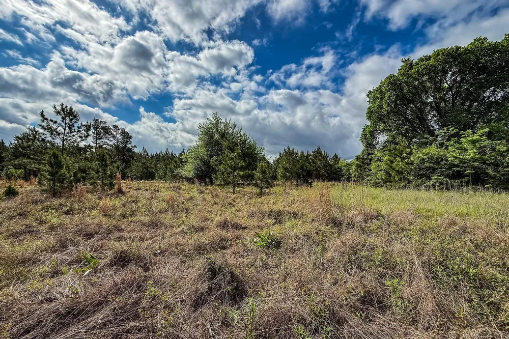 20 State Highway 19 Huntsville, TX 77320