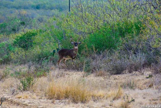 000 Easement Road Laredo, TX 78045