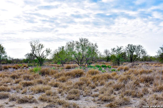 000 Easement Road Laredo, TX 78045