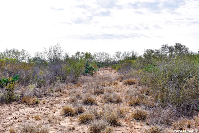 000 Easement Road Laredo, TX 78045
