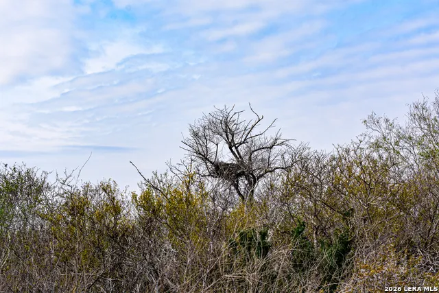 000 Easement Road Laredo, TX 78045