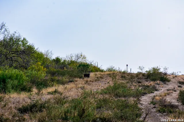 000 Easement Road Laredo, TX 78045