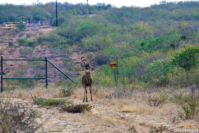 000 Easement Road Laredo, TX 78045