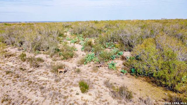 000 Easement Road Laredo, TX 78045