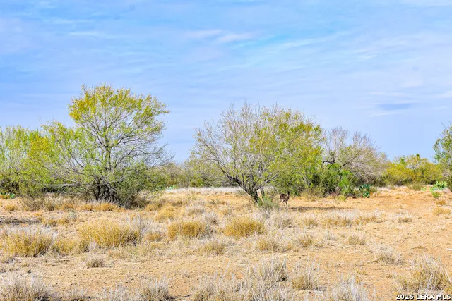 000 Easement Road Laredo, TX 78045