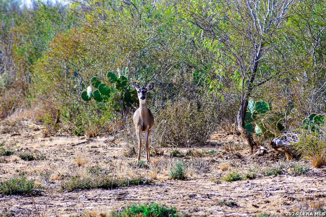 000 Easement Road Laredo, TX 78045