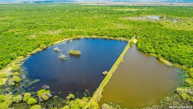 TBD Zinnia Road Lyford, TX 78580