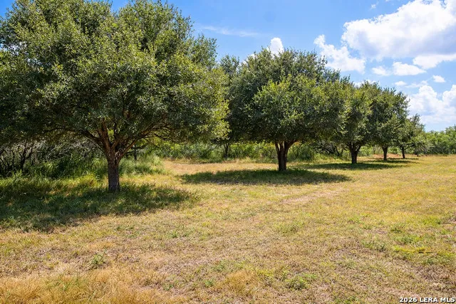 TBD Zinnia Road Lyford, TX 78580