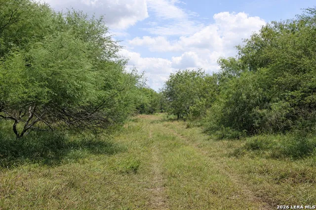 TBD Zinnia Road Lyford, TX 78580