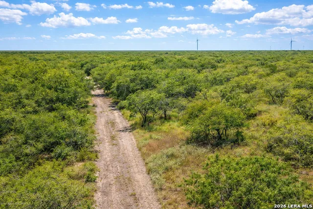 TBD Zinnia Road Lyford, TX 78580