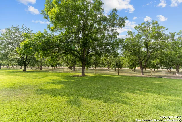 3590 County Road 4713 LaCoste, TX 78039