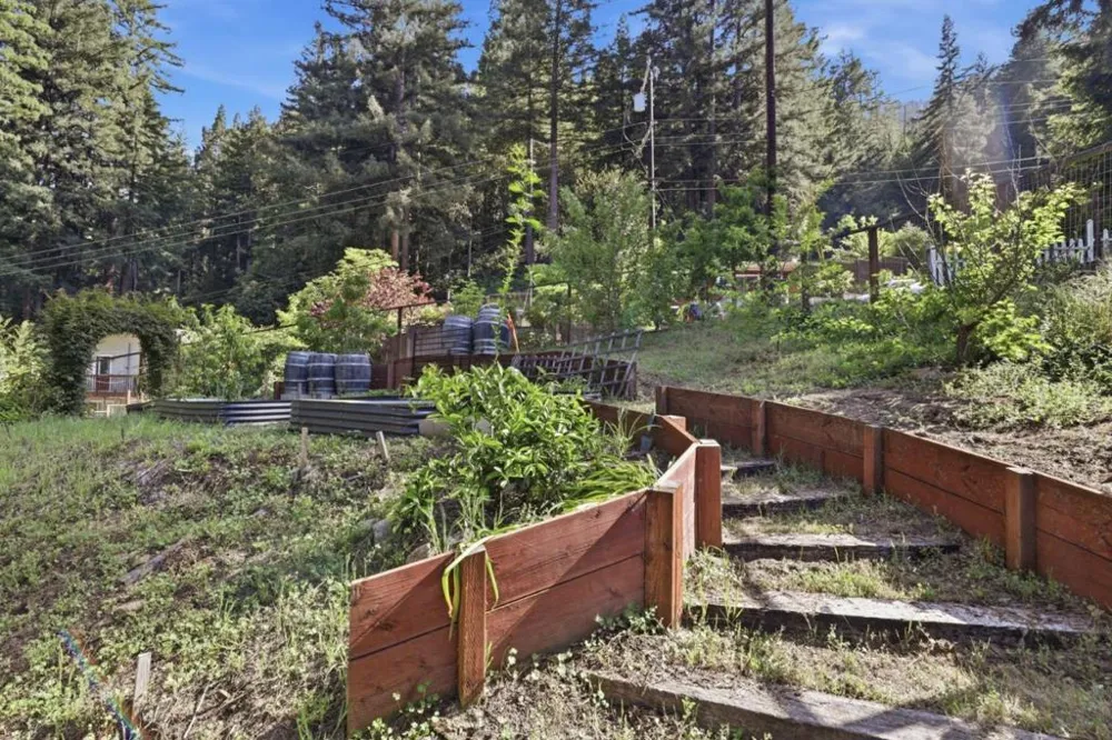 430 SAINT FRANCIS DRIVE Boulder Creek, CA 95006