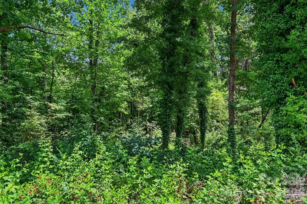 306 Elysian Drive Mooresville, NC 28117