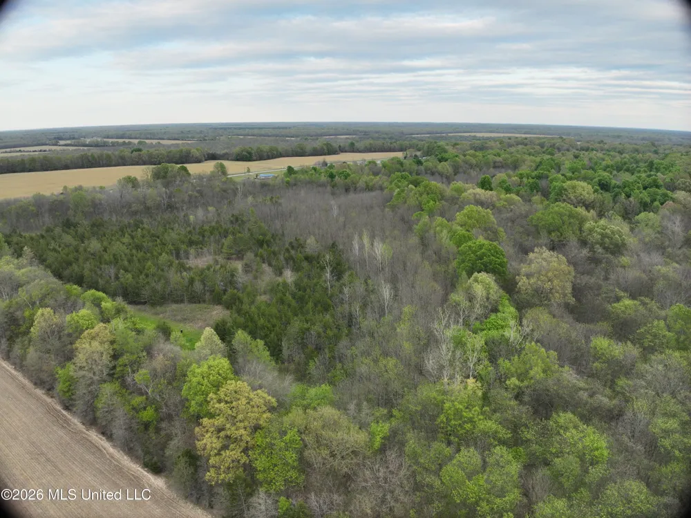 0 White Rock Road Aberdeen, MS 39730