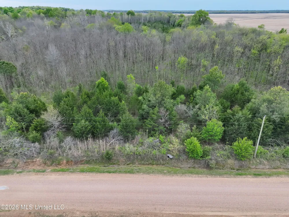 0 White Rock Road Aberdeen, MS 39730