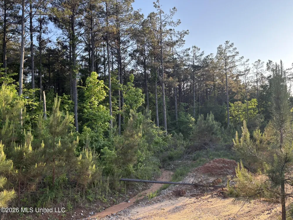 Stewart Weir Road Stewart, MS 39767