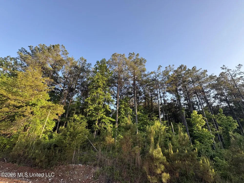 Stewart Weir Road Stewart, MS 39767