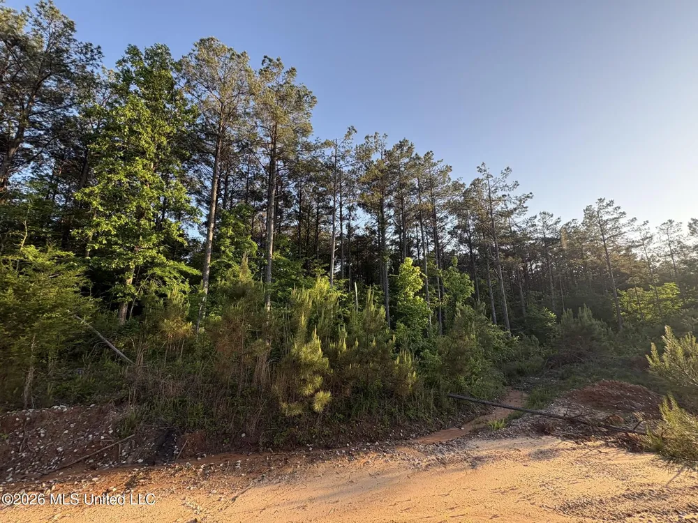 Stewart Weir Road Stewart, MS 39767