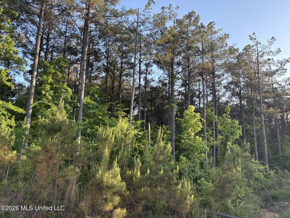 Stewart Weir Road Stewart, MS 39767