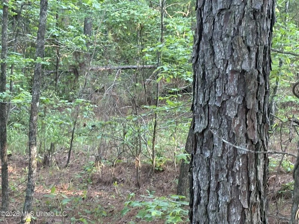 Stewart Weir Road Stewart, MS 39767