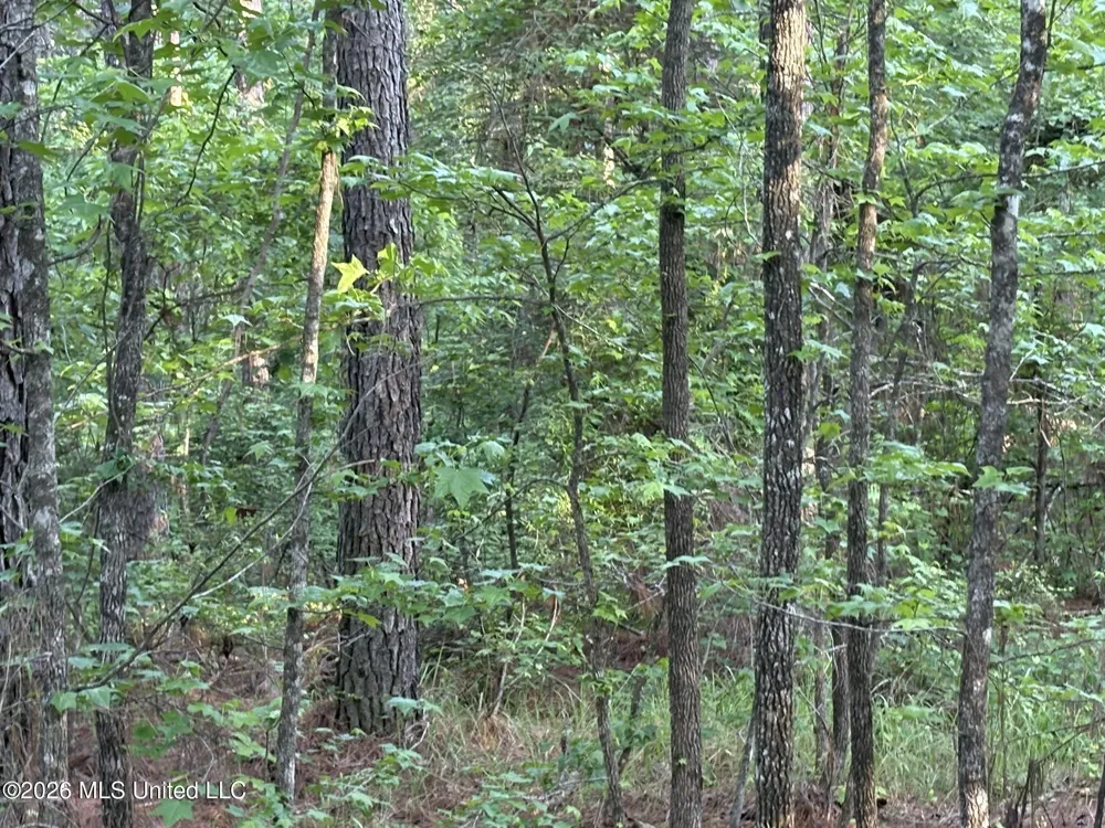 Stewart Weir Road Stewart, MS 39767