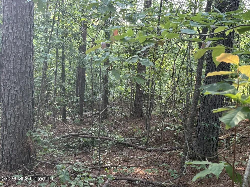 Stewart Weir Road Stewart, MS 39767