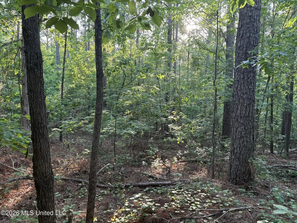 Stewart Weir Road Stewart, MS 39767