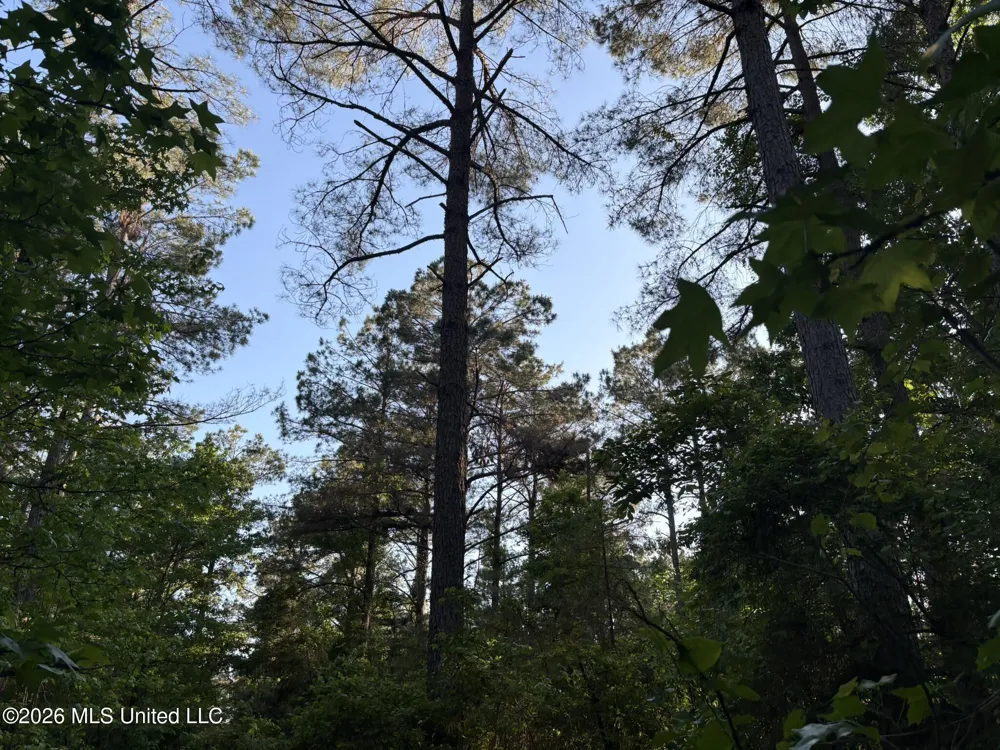Stewart Weir Road Stewart, MS 39767