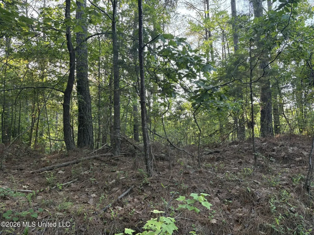 Stewart Weir Road Stewart, MS 39767