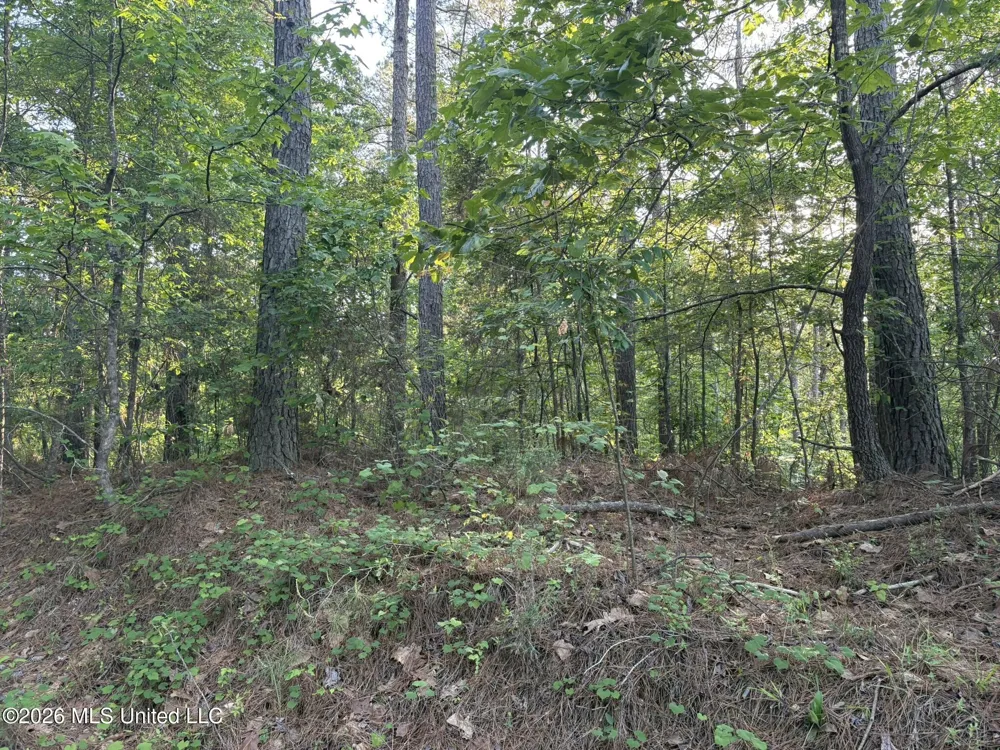 Stewart Weir Road Stewart, MS 39767
