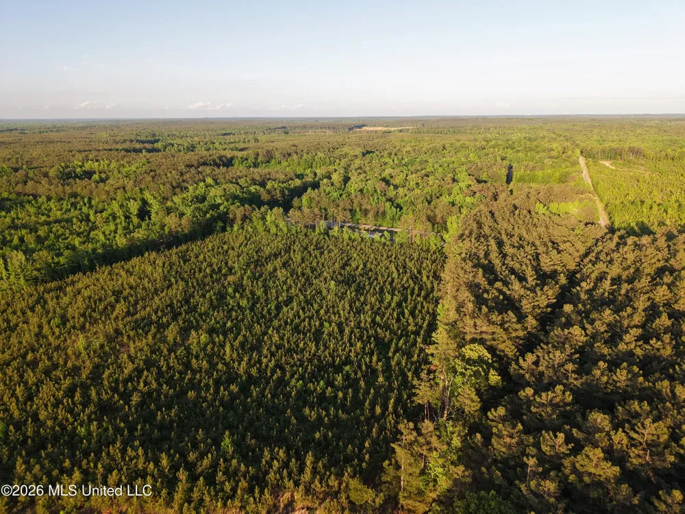Stewart Weir Road Stewart, MS 39767