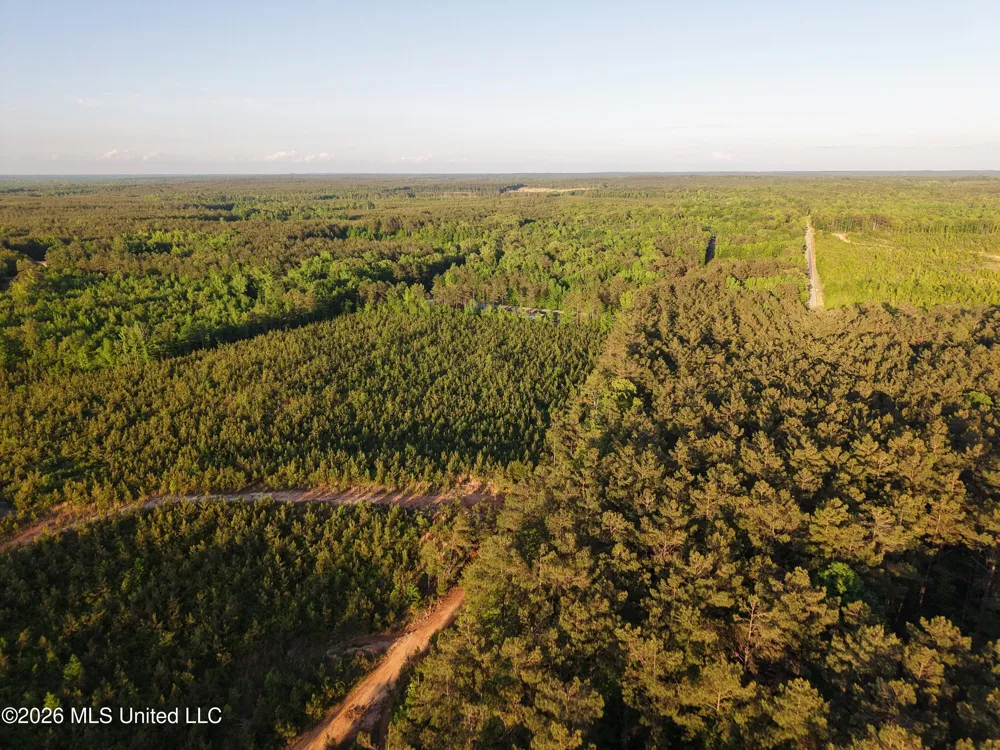 Stewart Weir Road Stewart, MS 39767