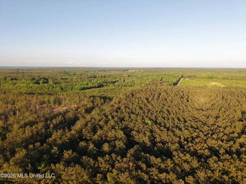 Stewart Weir Road Stewart, MS 39767