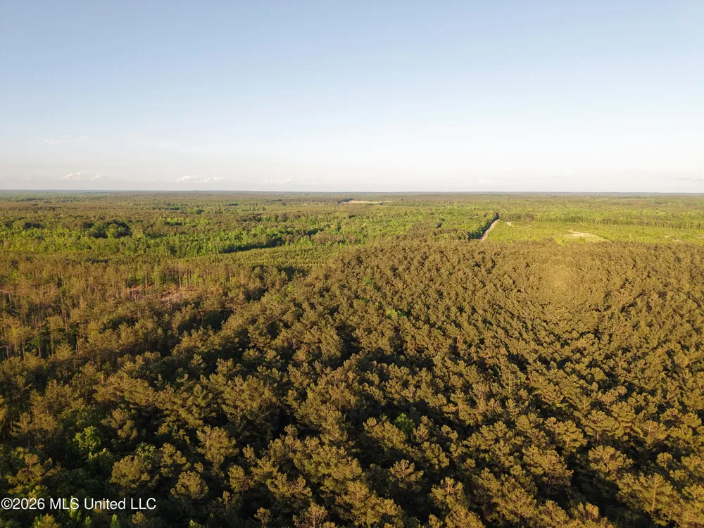 Stewart Weir Road Stewart, MS 39767