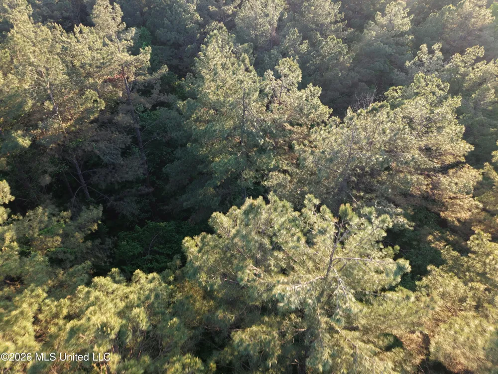 Stewart Weir Road Stewart, MS 39767
