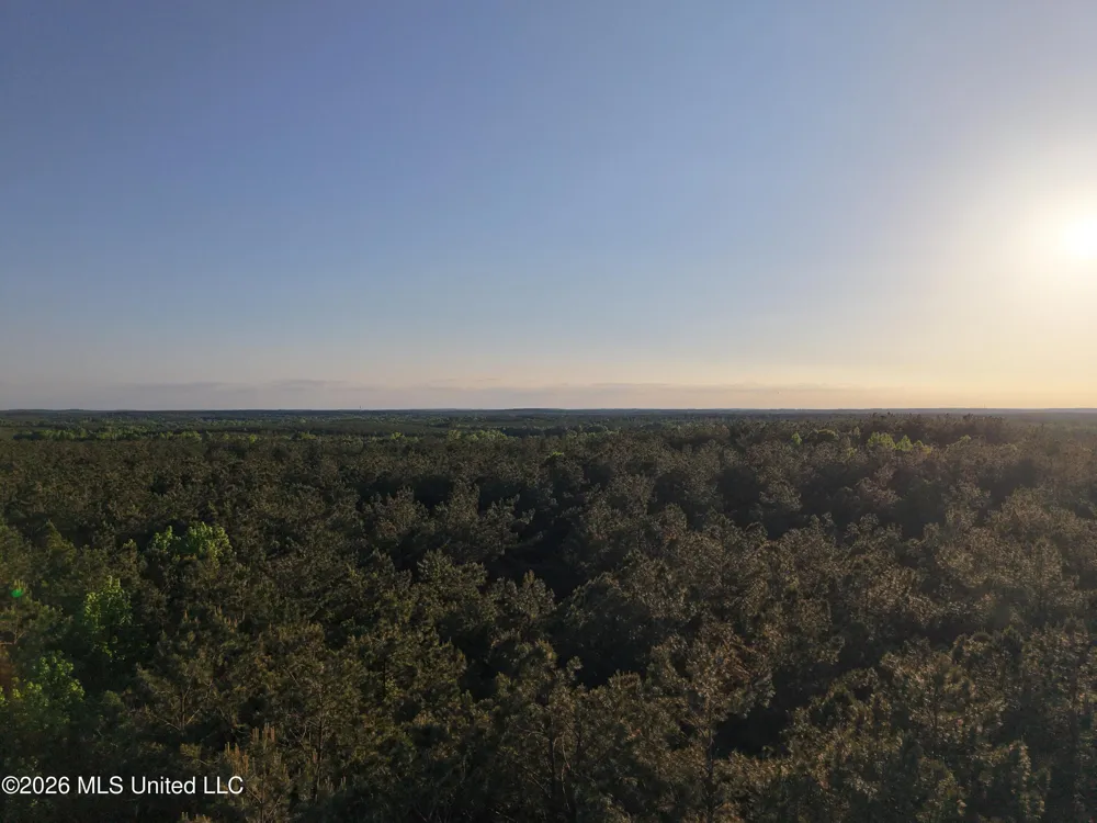 Stewart Weir Road Stewart, MS 39767