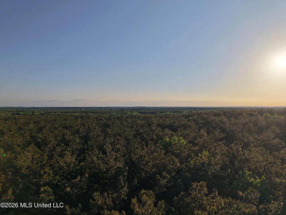 Stewart Weir Road Stewart, MS 39767