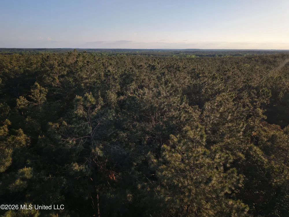 Stewart Weir Road Stewart, MS 39767