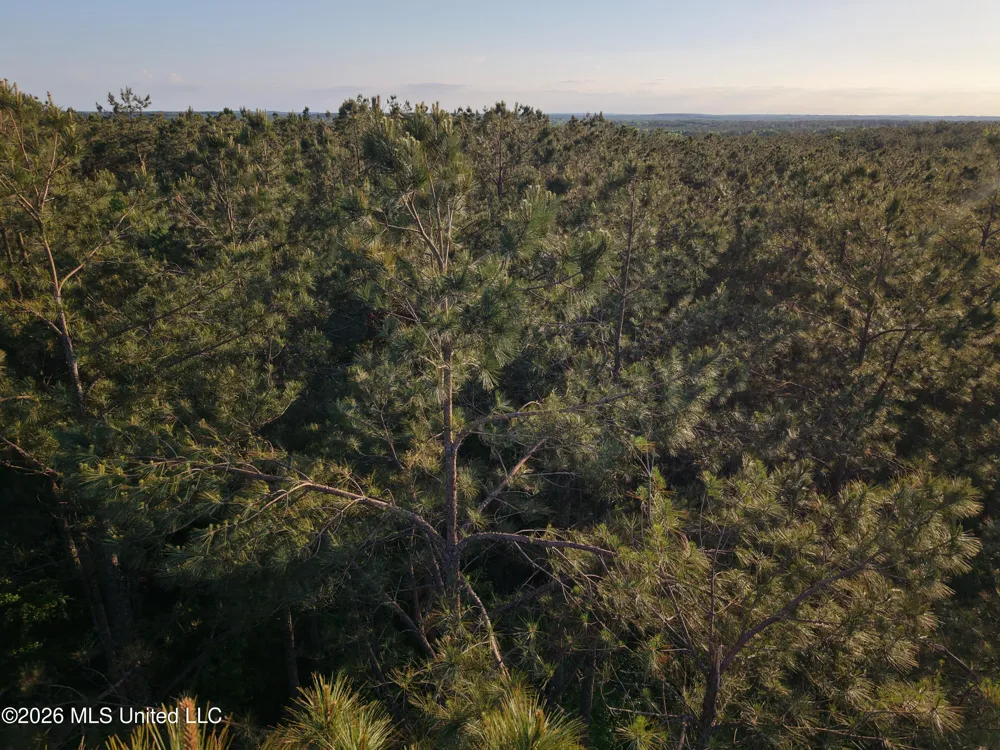 Stewart Weir Road Stewart, MS 39767