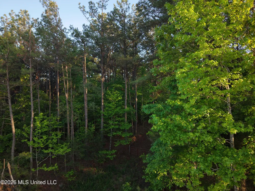 Stewart Weir Road Stewart, MS 39767