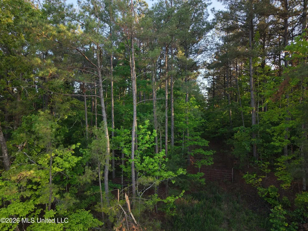 Stewart Weir Road Stewart, MS 39767