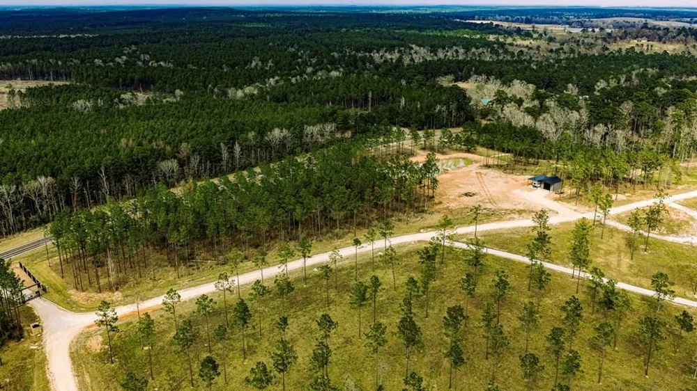 219 Big Buck Drive Moscow, TX 75960