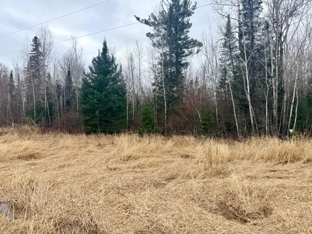 TBD Hwy 65 Nashwauk, MN 55769